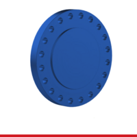 FLANGES-LOW-TEMP-BLIND-FLANGES-900#